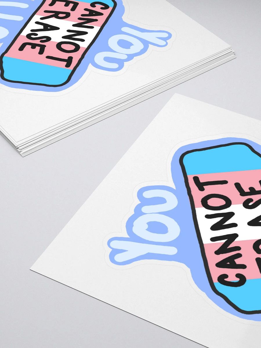 You Cannot Erase Us Sticker product image (10)
