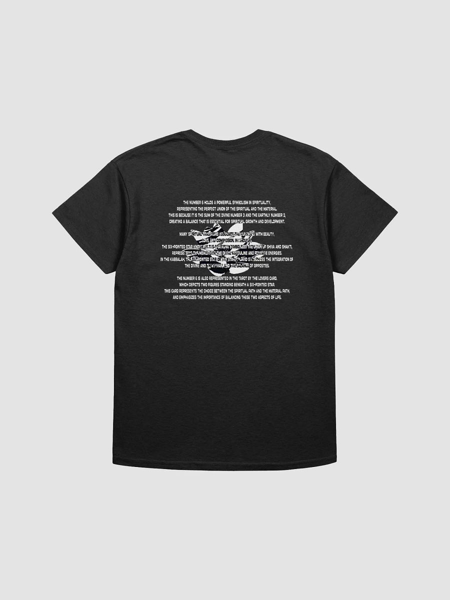 VIBEFEST VOL VI TEE (BLACK) product image (2)