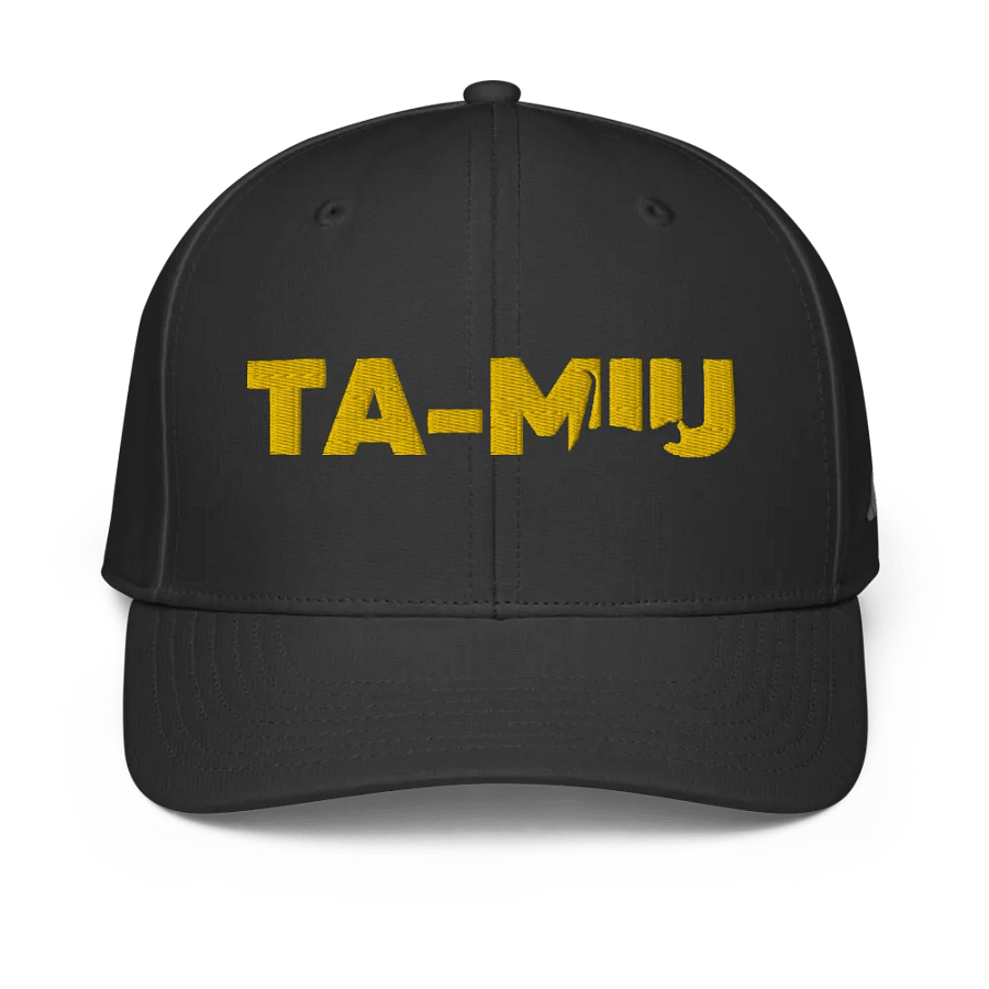 TA-MIU Bold Performance Cap product image (1)