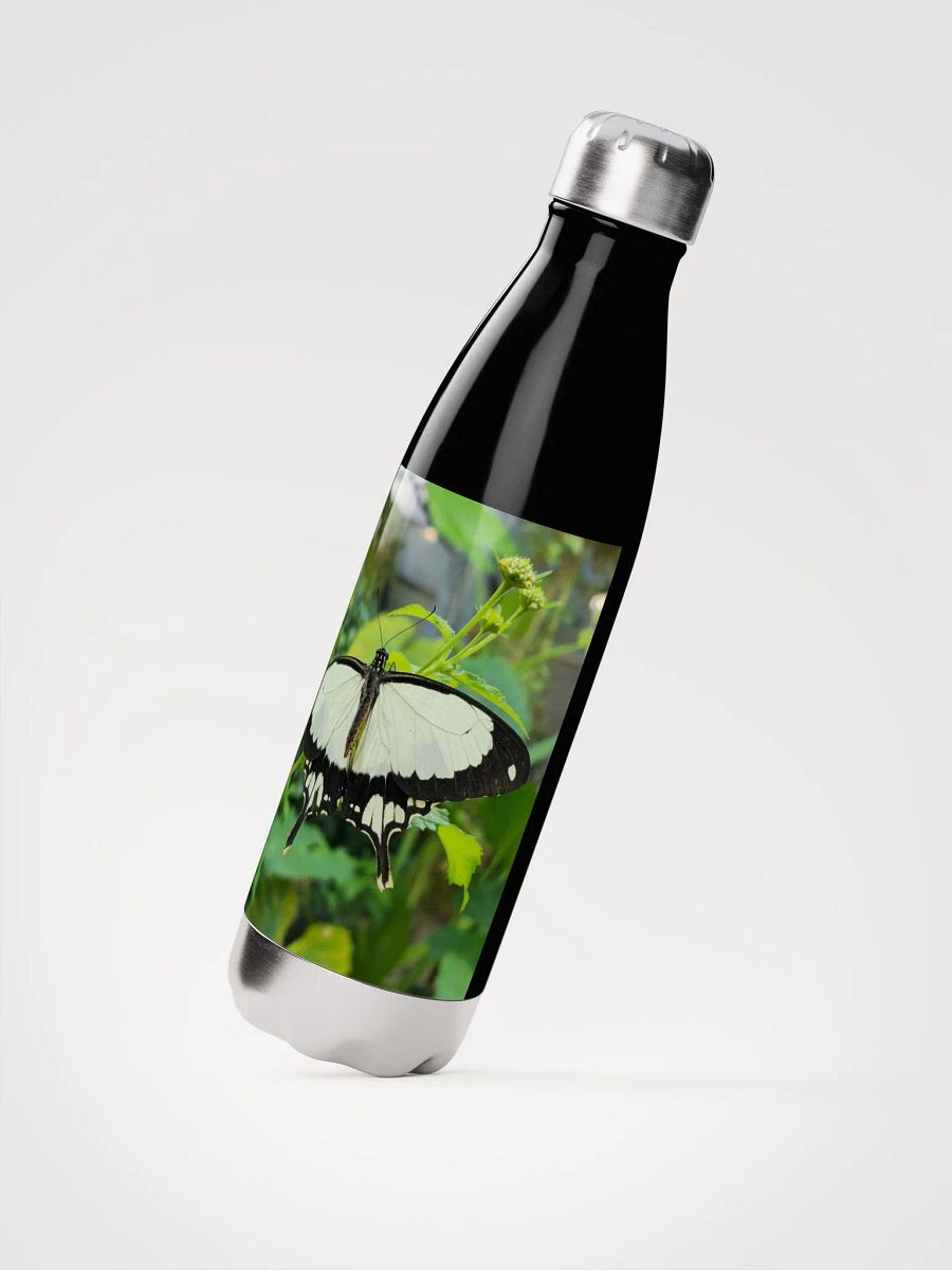 Mocker Swallowtail Tropical Butterfly Stainless Steel Water Bottle product image (3)
