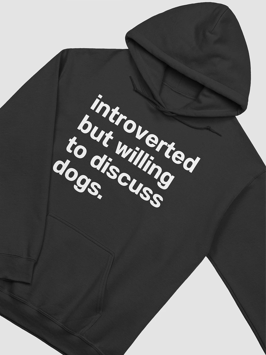 introverted but willing to discuss dogs. Unisex Hoodie product image (22)