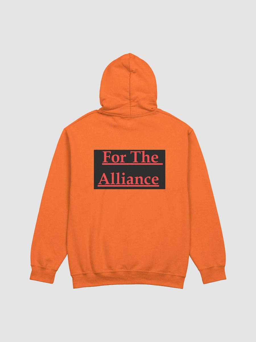 A Hoodie For The Alliance product image (49)