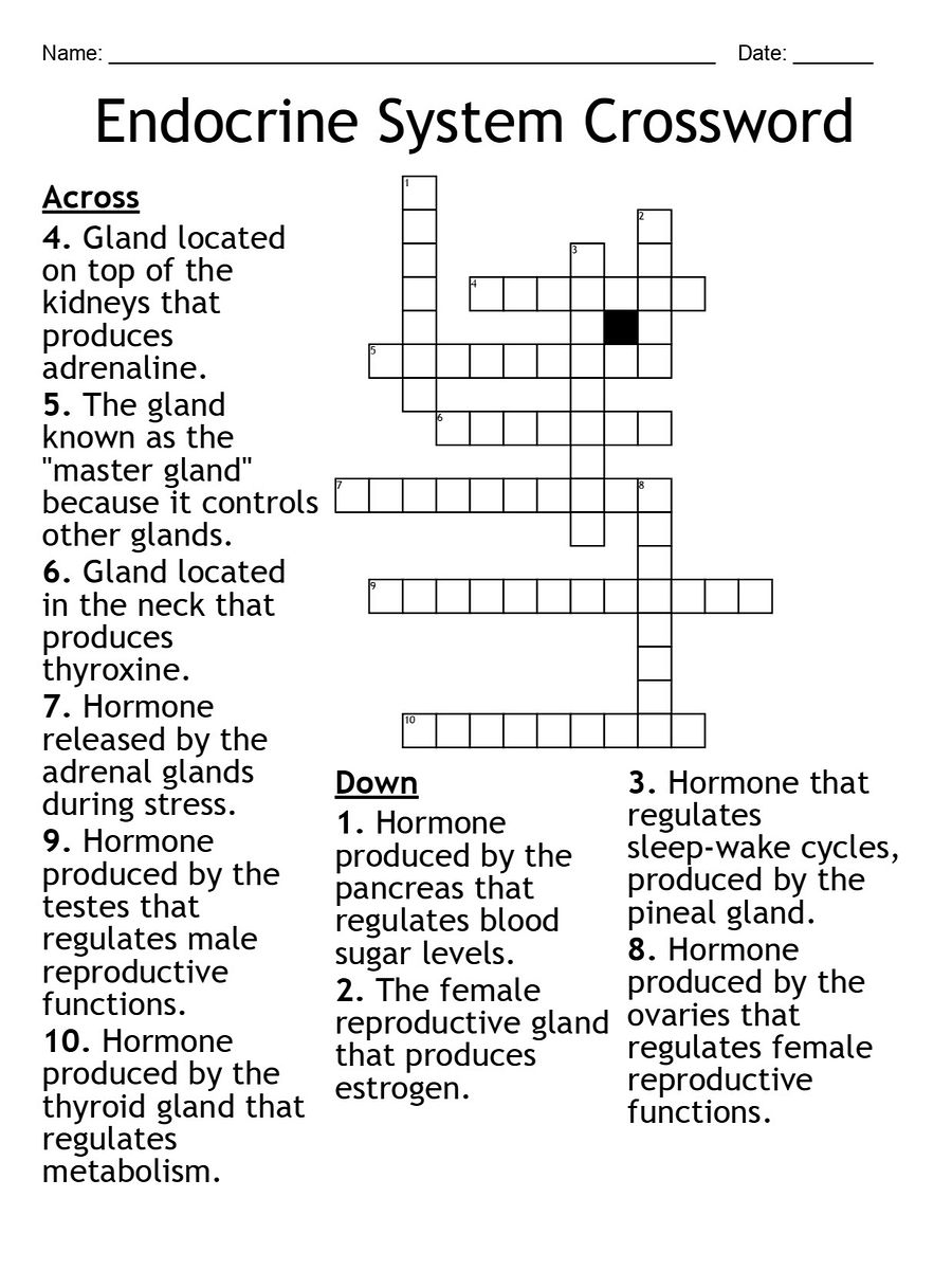 Endocrine System Crossword Puzzle – Fun Biology Activity product image (1)