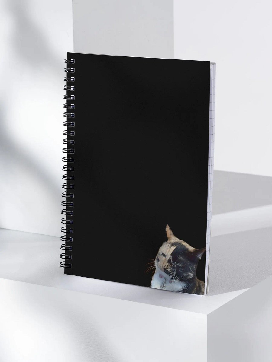 Sus Lyra Notebook product image (3)