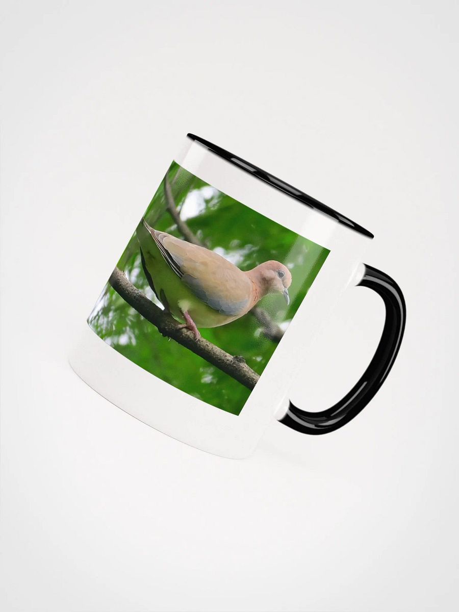 IUCAA Birds MUG product image (45)
