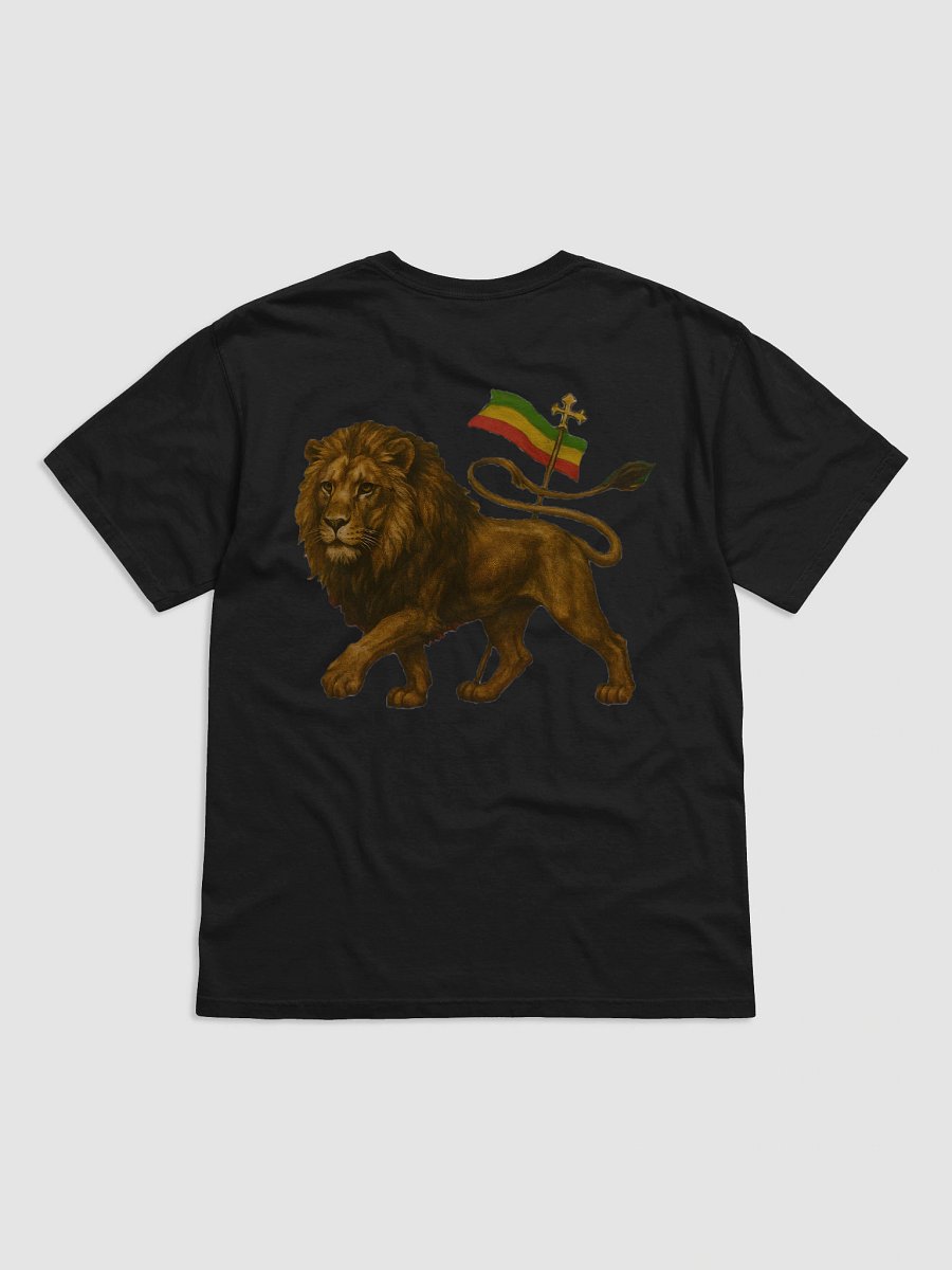 IILion Shirt (div. colours) product image (3)
