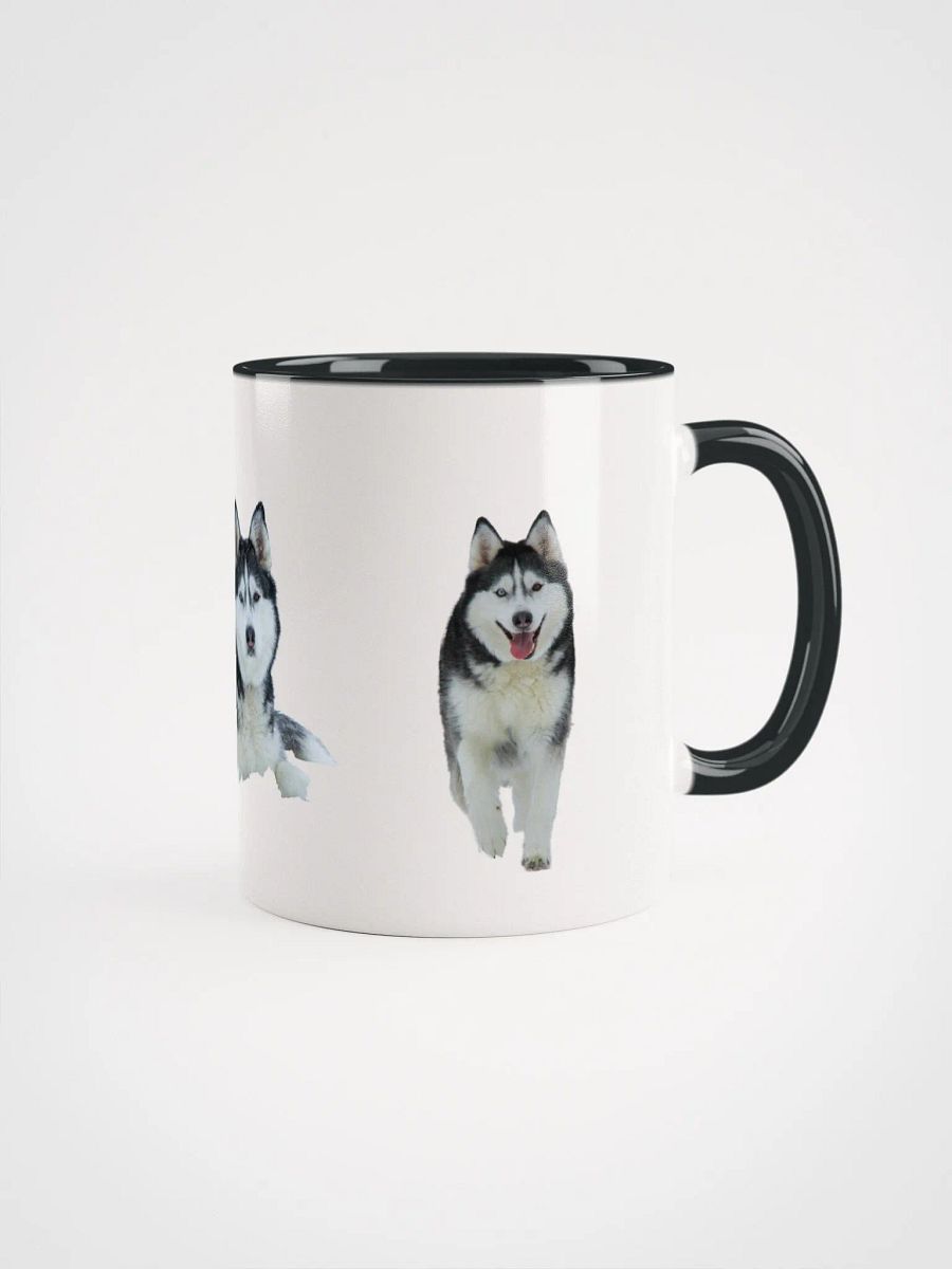 Majestic Siberian Husky with two different colored eyes product image (3)