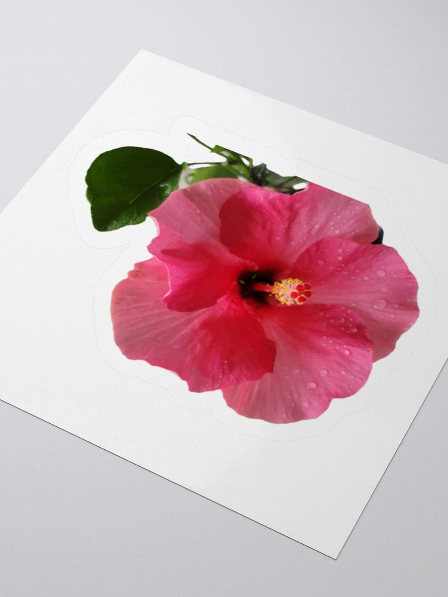 Flower Stickers v2 product image (3)