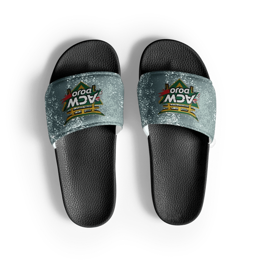 ACW Dojo Slides product image (4)