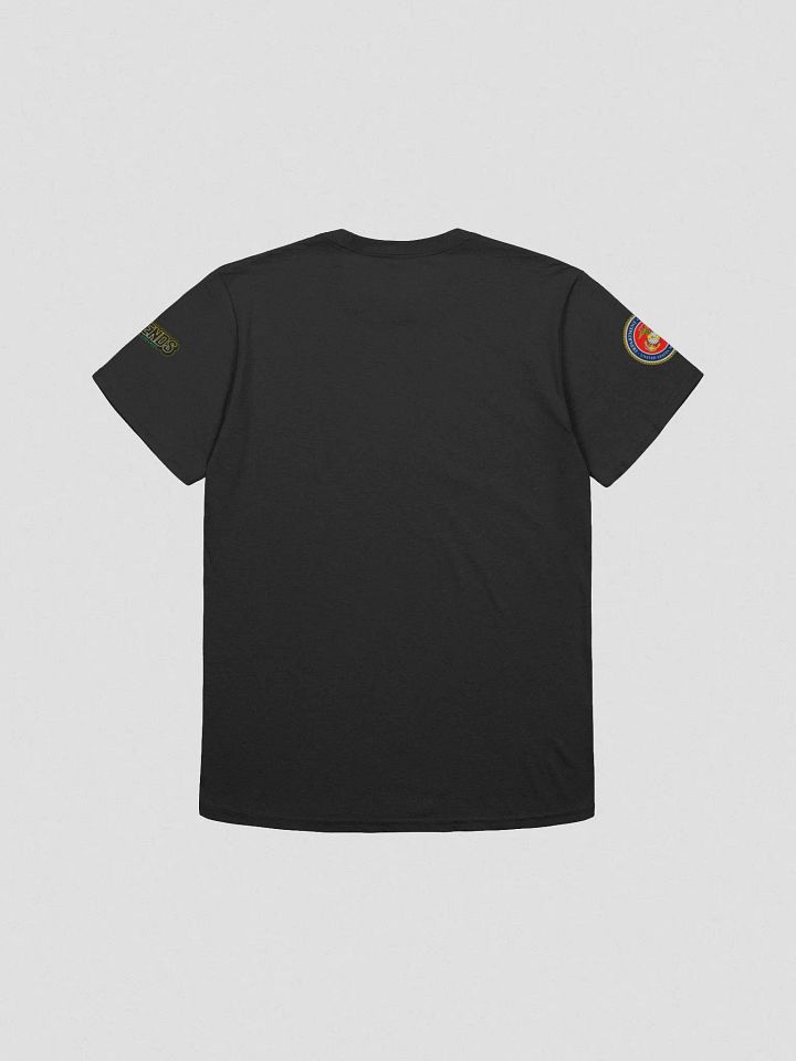 murica eagle tee product image (2)