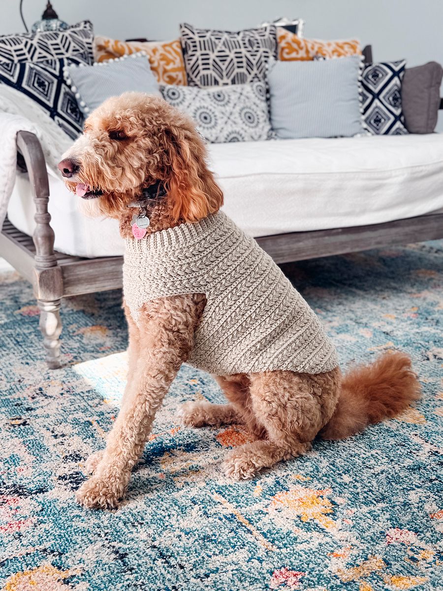 Wheat Stitch Dog Sweater Crochet Pattern in 8 Sizes product image (5)