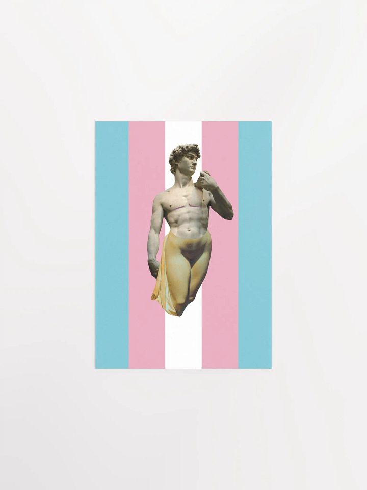 Trans Day of Visibility 3 Poster product image (1)