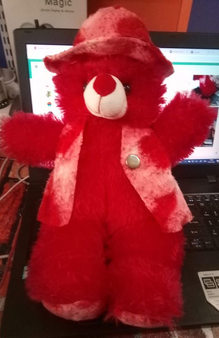 TEDDY BEAR product image (1)