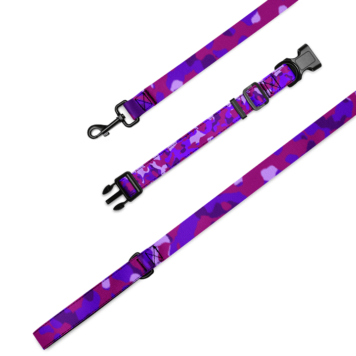 MADFKTRN Leash and Collar product image (1)