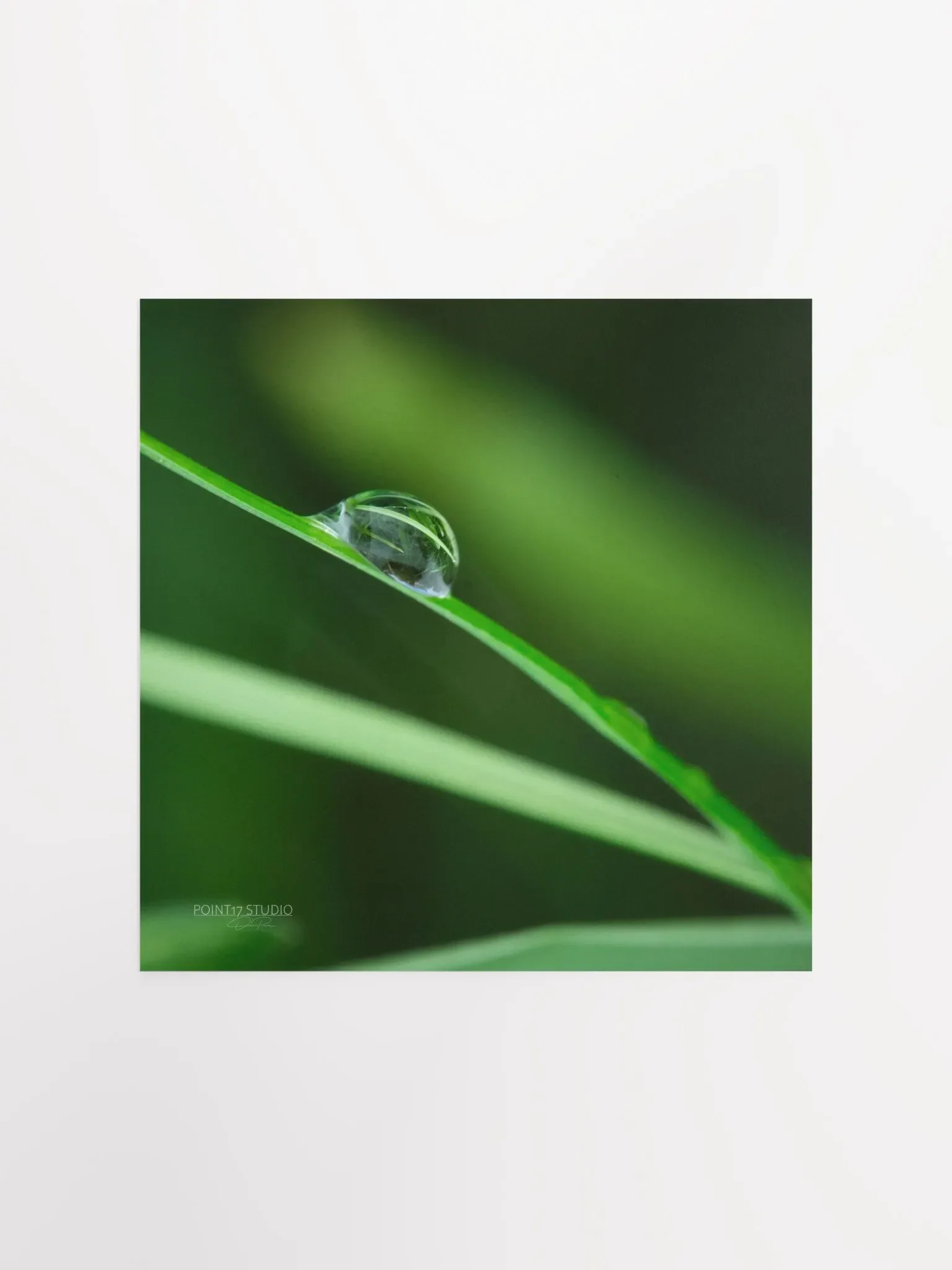 Dew Gems #6 - Print product image (1)