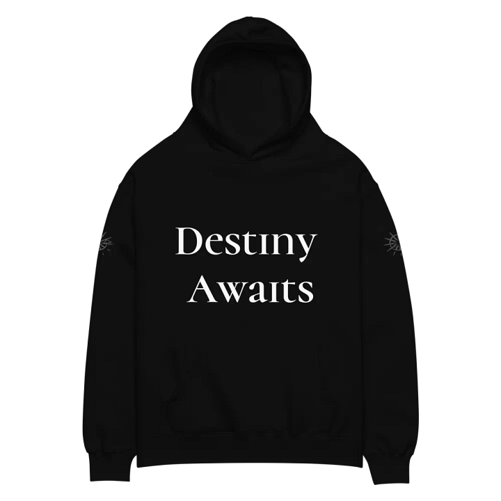 Sign of Destiny Premium Oversized Hoodie product image (1)