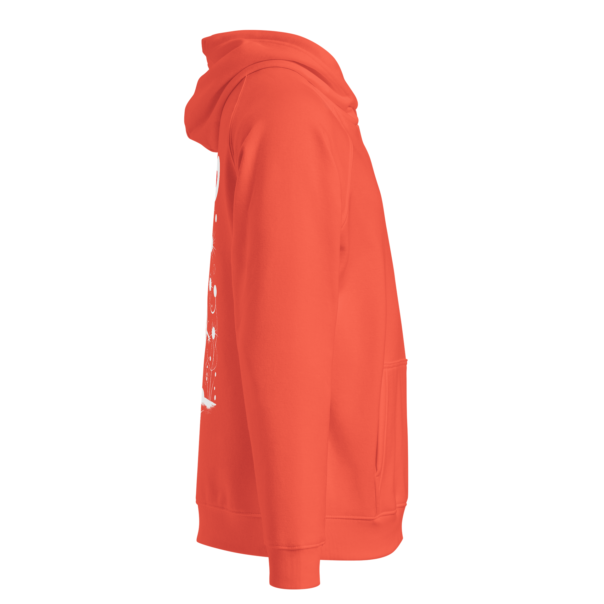 SOL'S Unisex Eco Raglan Hoodie product image (4)