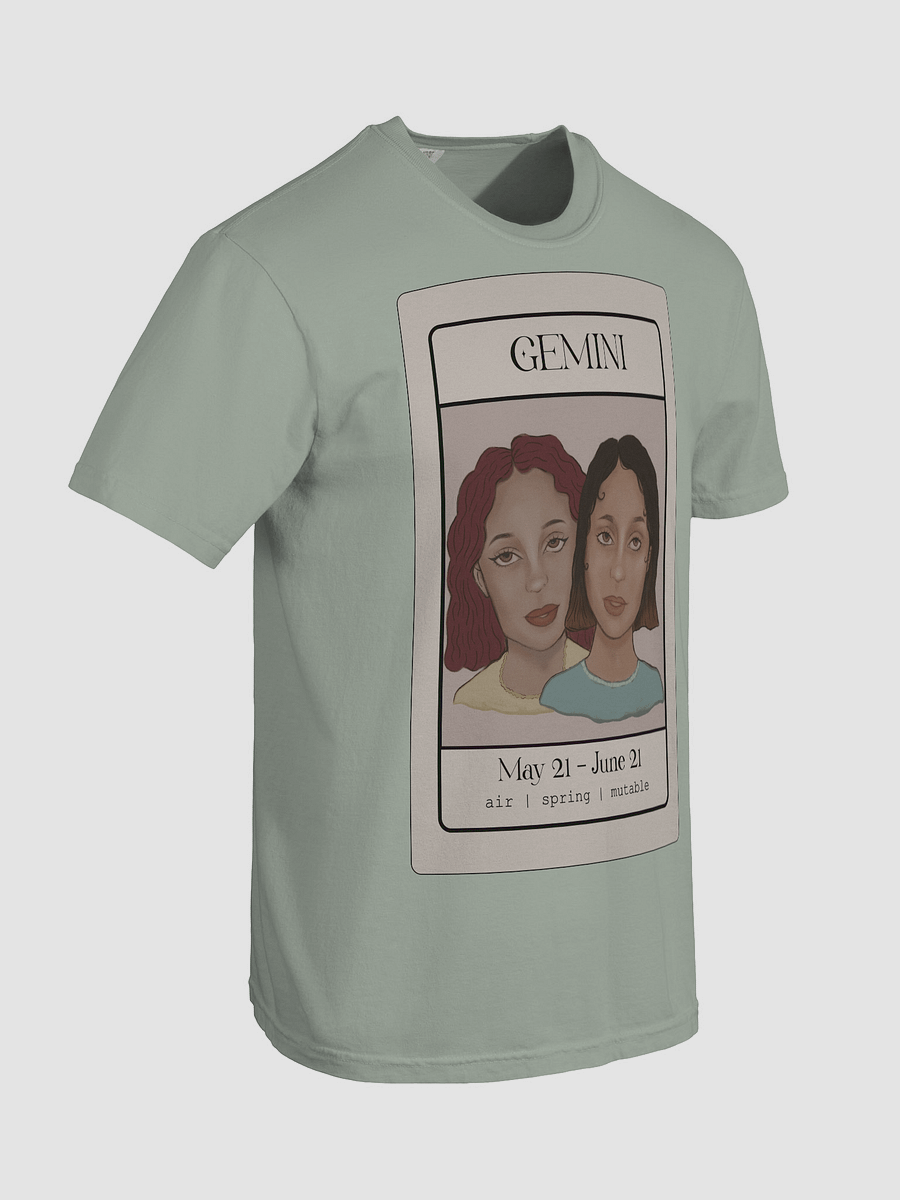 The Gemini Twins product image (31)