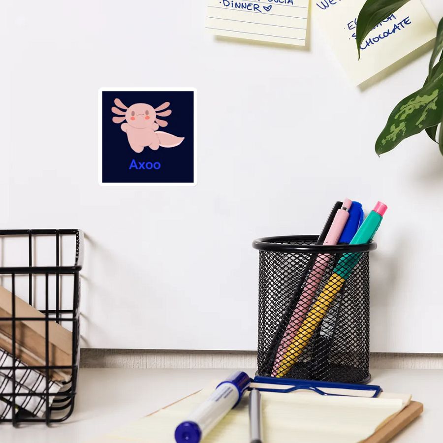 aimant AXOO product image (12)