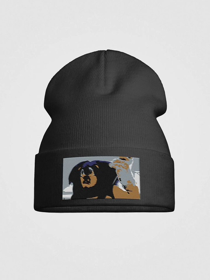 Sonic Beanie product image (1)