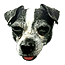 ThePetOfKira
