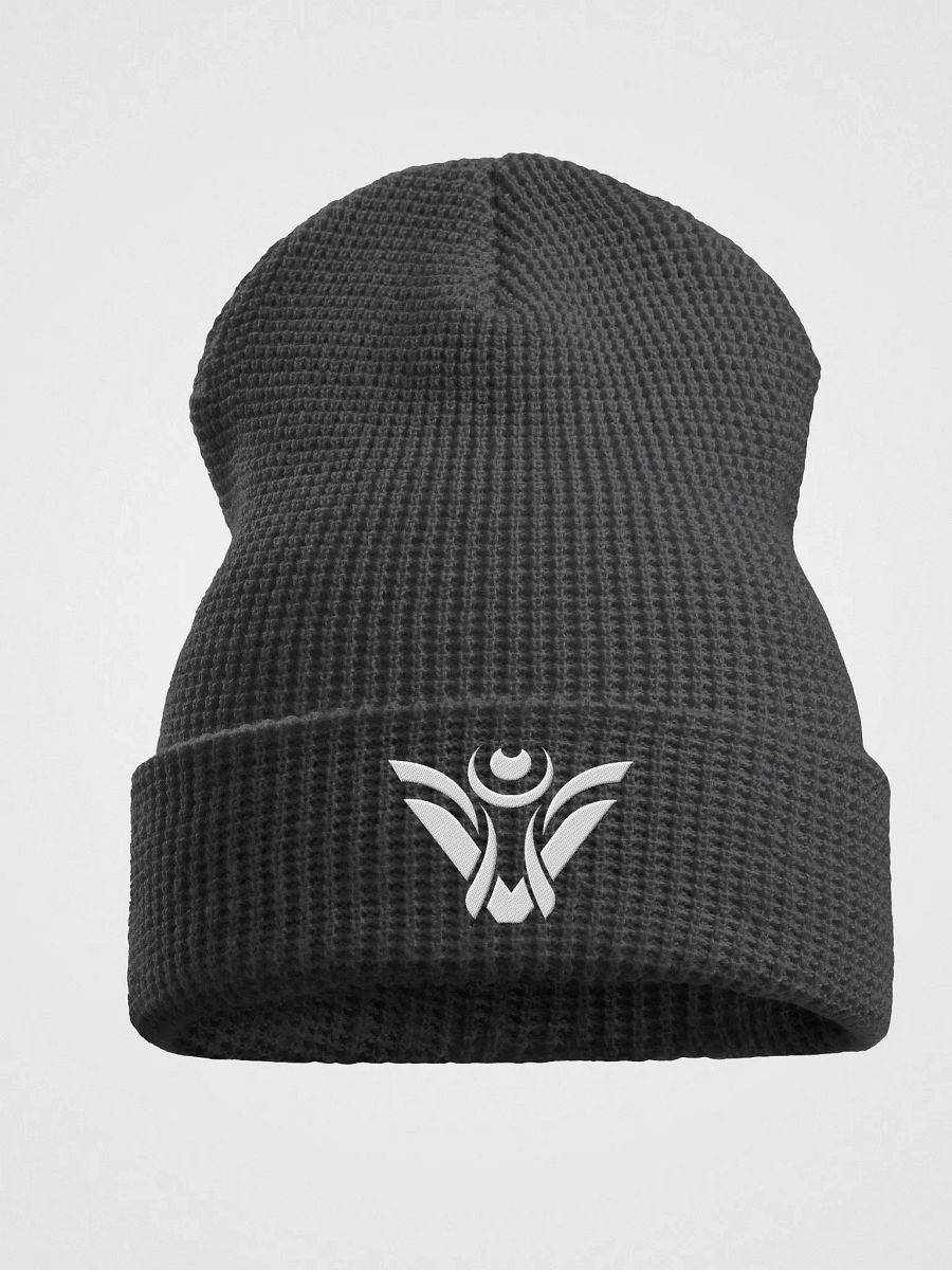 Visionary Beanie product image (1)
