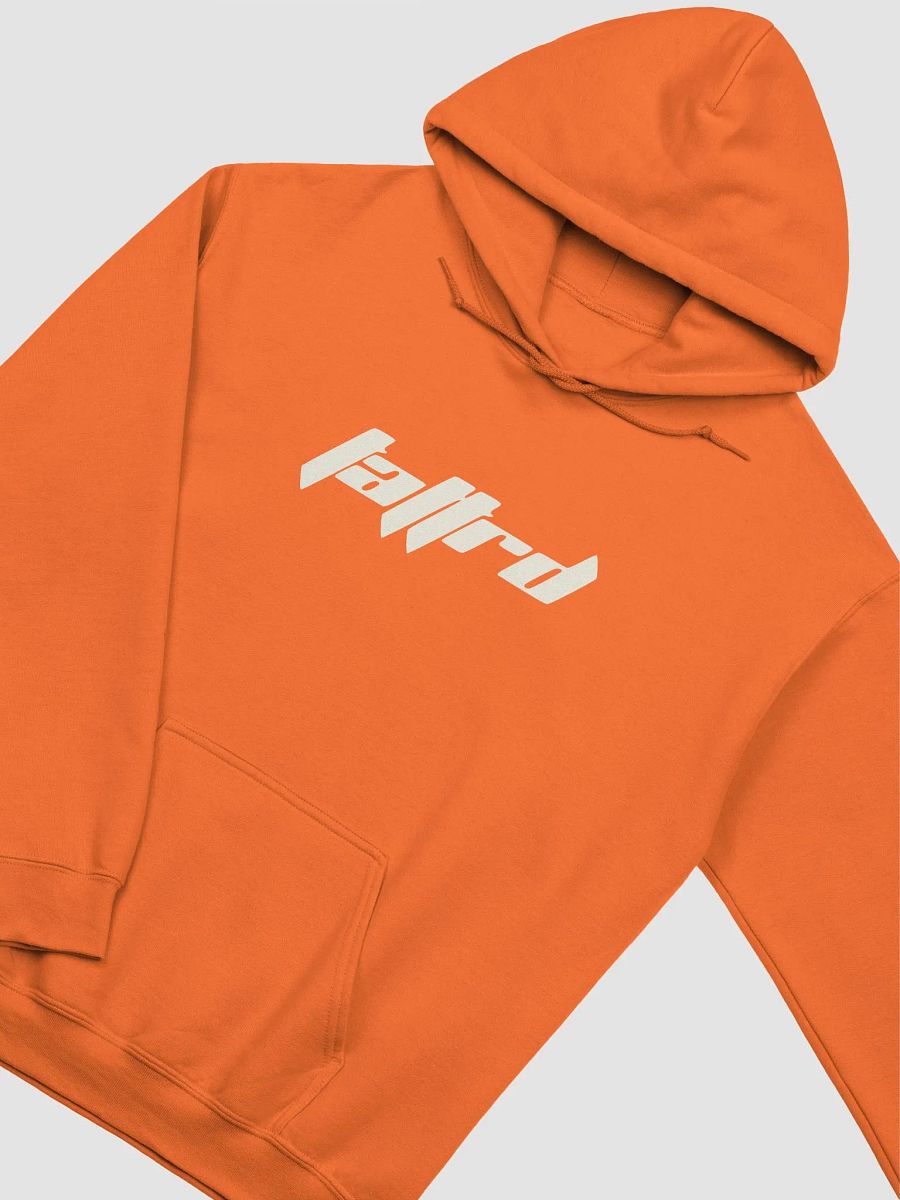 Life, Liberty, Pursuit Hoodie product image (58)