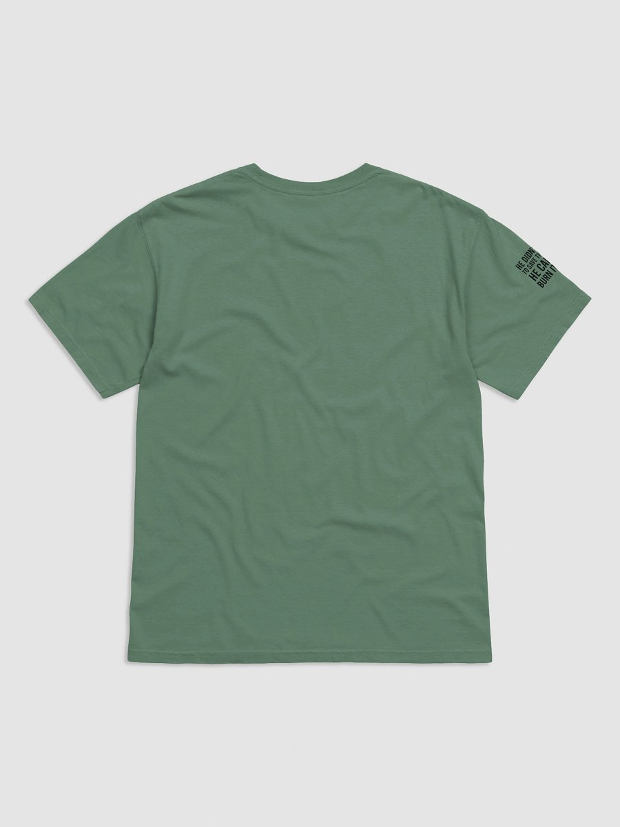 100% COTTON - HE DIDN’T COME TO SAVE THE SYSTEM – HE CAME TO BURN IT DOWN product image (3)
