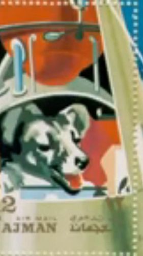 The #spacerace RIP #laika