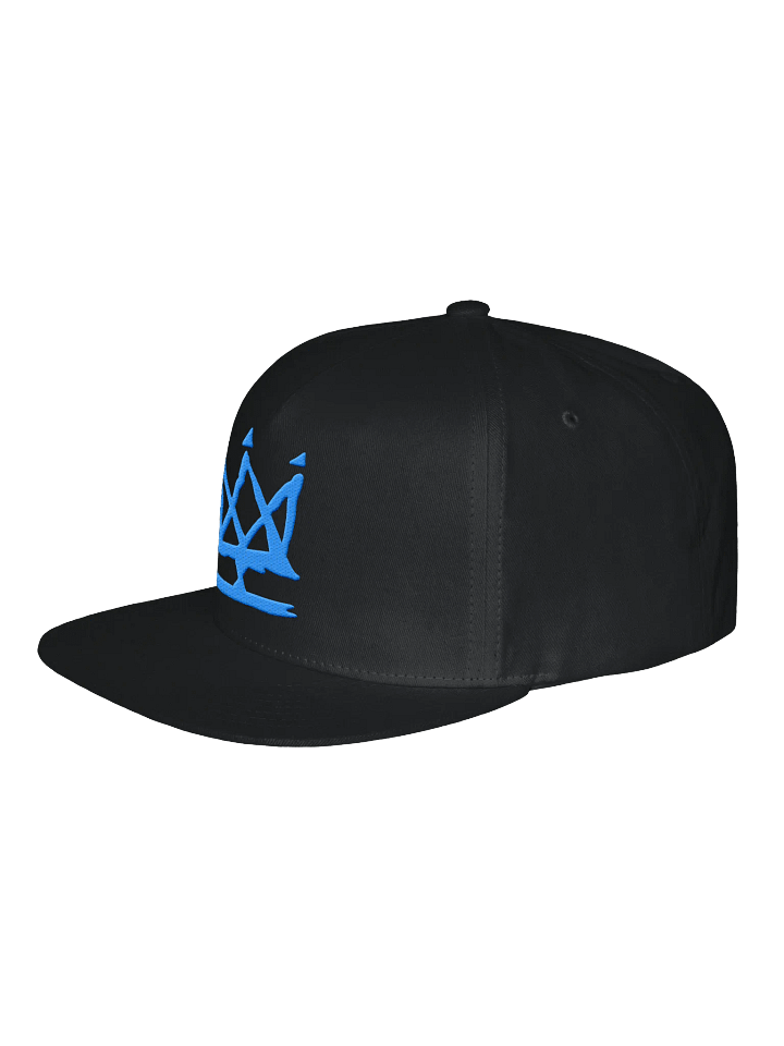 Have Fun Snapback product image (2)