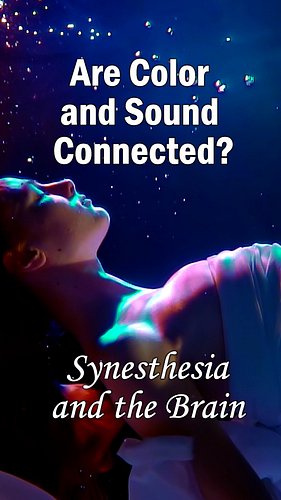 How do individuals with synesthesia experience the world?

#synesthesia #brain #brainscience #neurology #pythagorus #senses