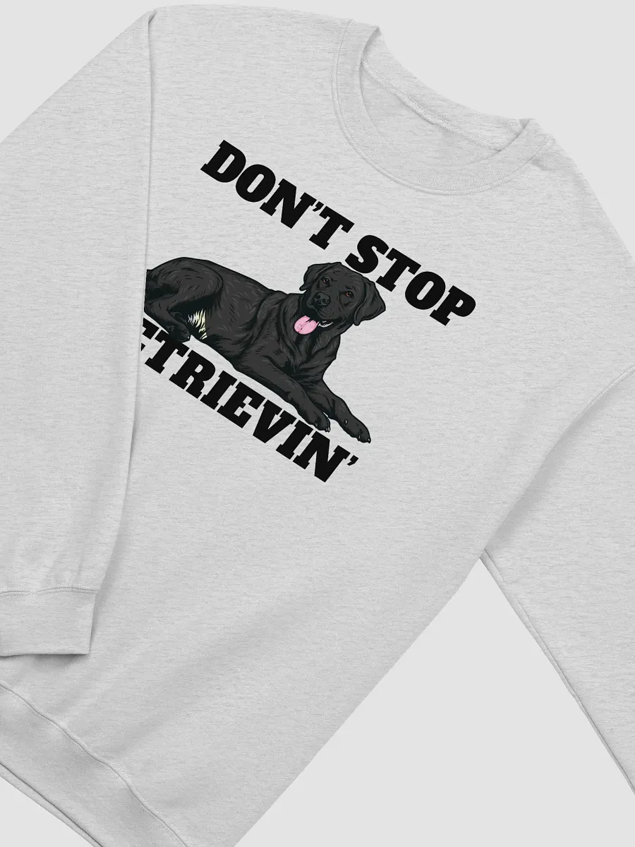 Don't Stop Retrievin' Sweatshirt of a Labrador Retriever(Black) | Funny Shirt for Lab Paw-rents product image (26)