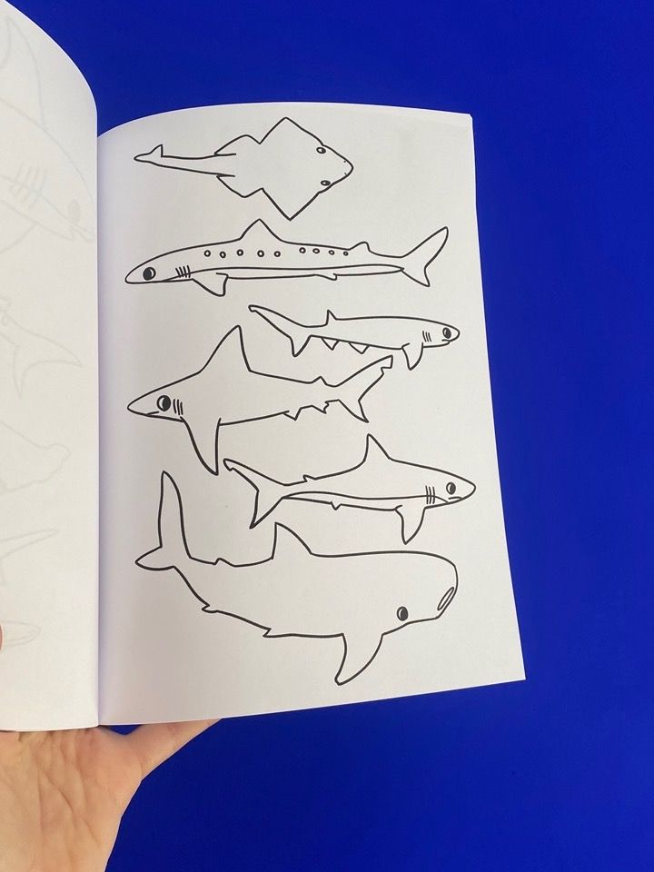 Coloriage des requins product image (6)
