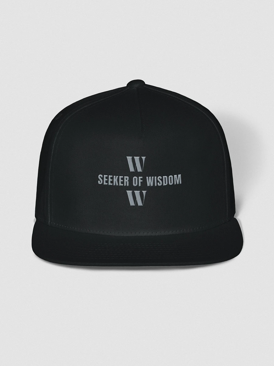 Seeker Snap Back Hat product image (3)