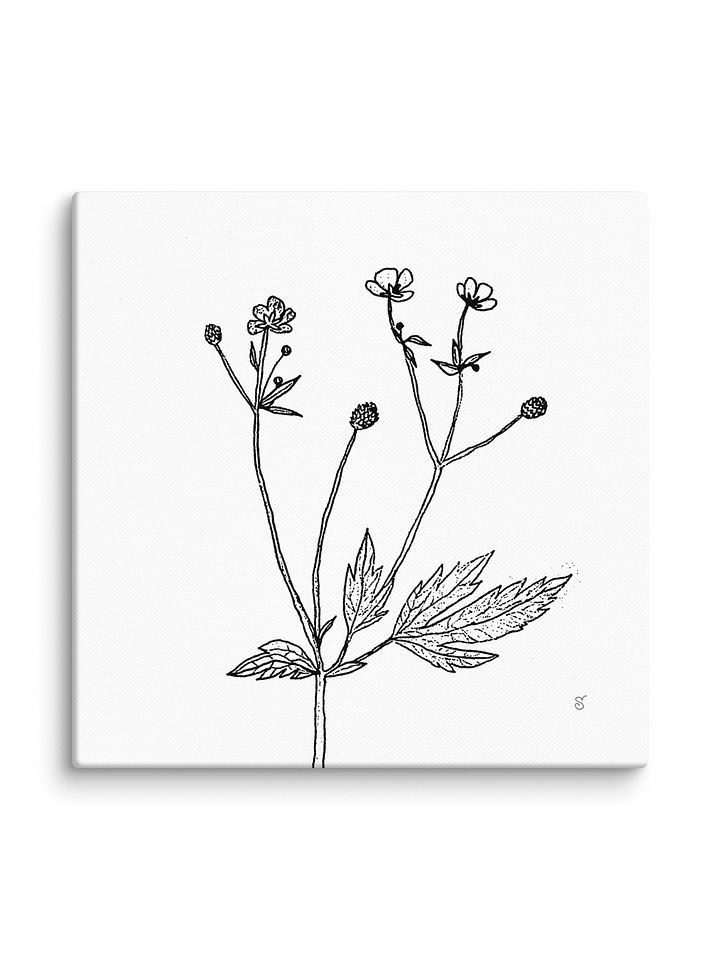 Botanical Bliss Canvas - Wild Flowers product image (2)