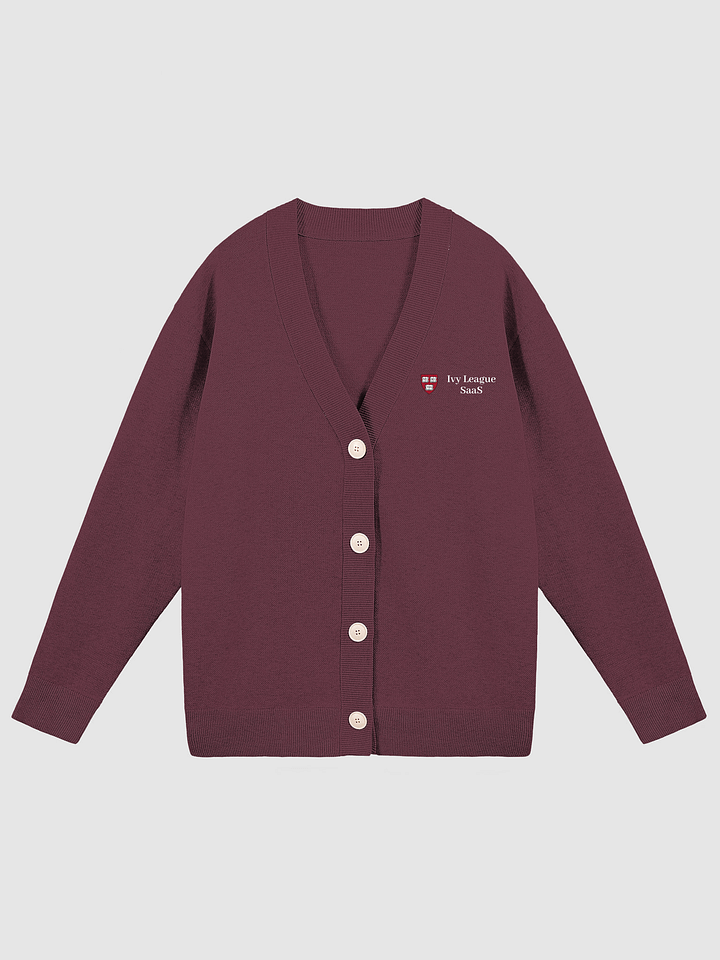 Ivy League SaaS product image (1)