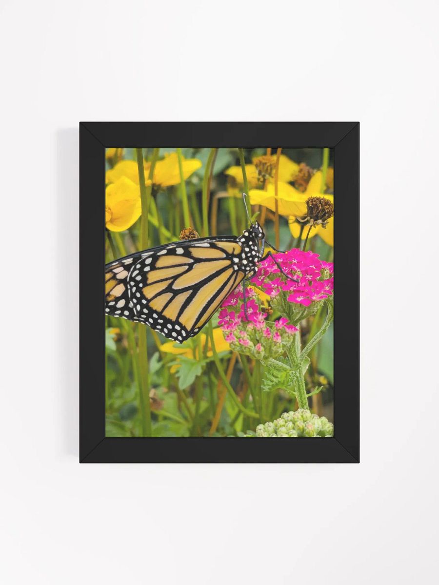 Tropical Monarch Butterfly Framed Matte Poster product image (4)