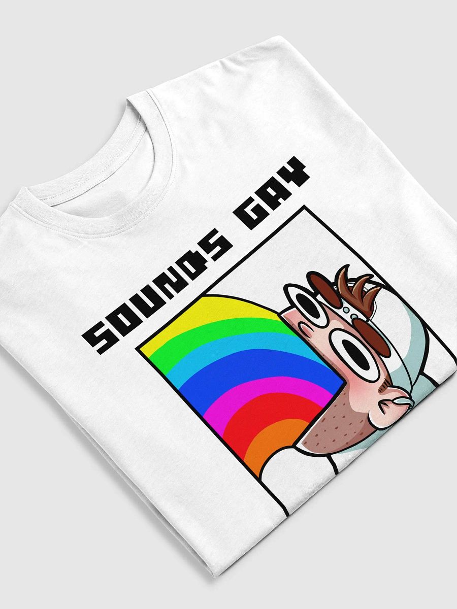 Sounds Gay I'm In Premium Heavyweight Tee product image (3)
