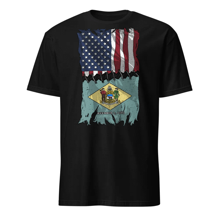 Delaware Stitch Flag USA product image (1)