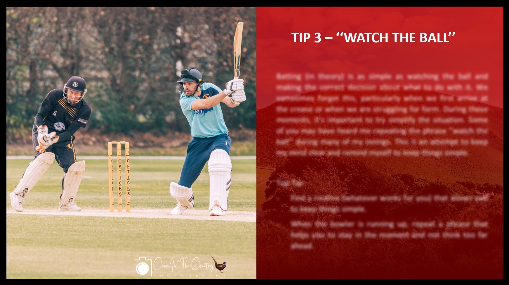 CAN YOU CRICKET TOP TIPS product image (3)