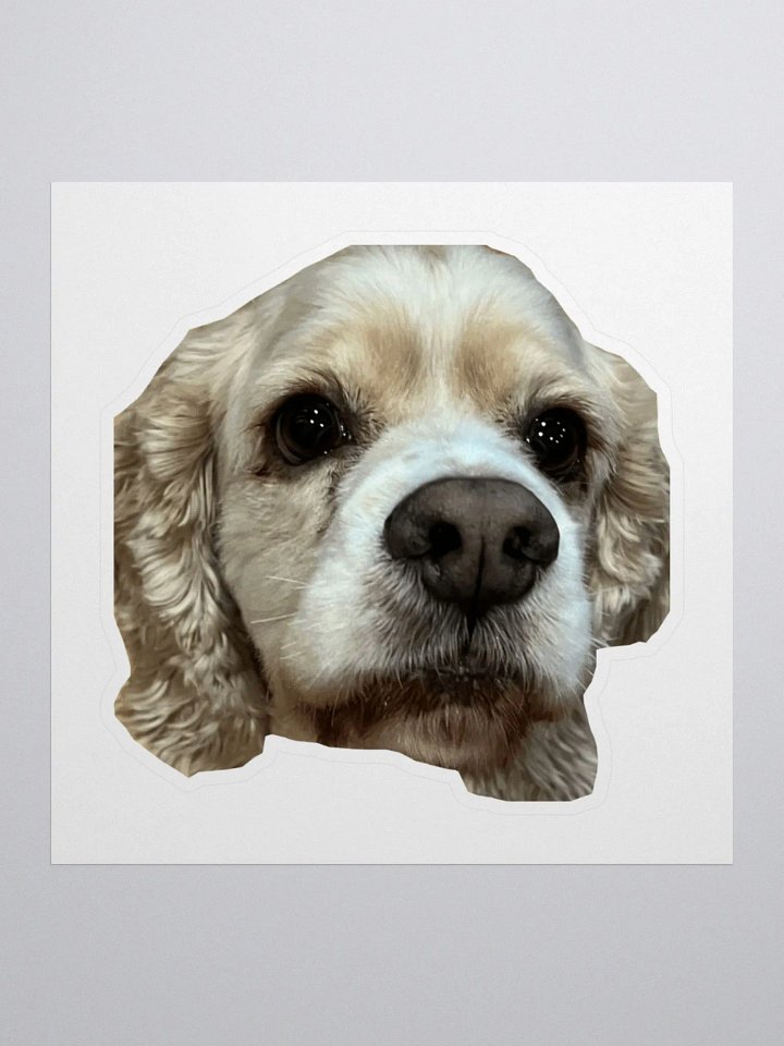 WESLEY STICKER!! product image (1)