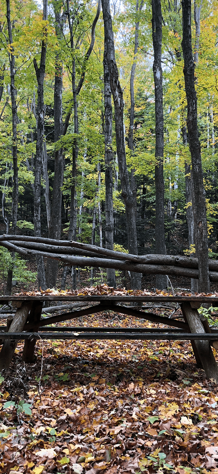 Fall Picnic Table with Leaves Phone Background product image (1)