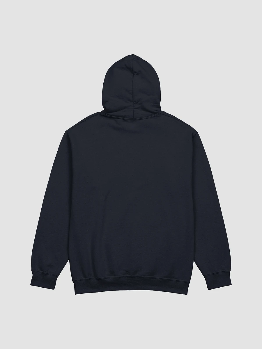The Name is Liszt. Franz Liszt | Hoodie product image (10)