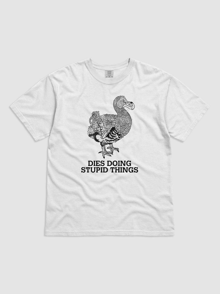 CHILL DODO HEAVYWEIGHT TEE product image (1)