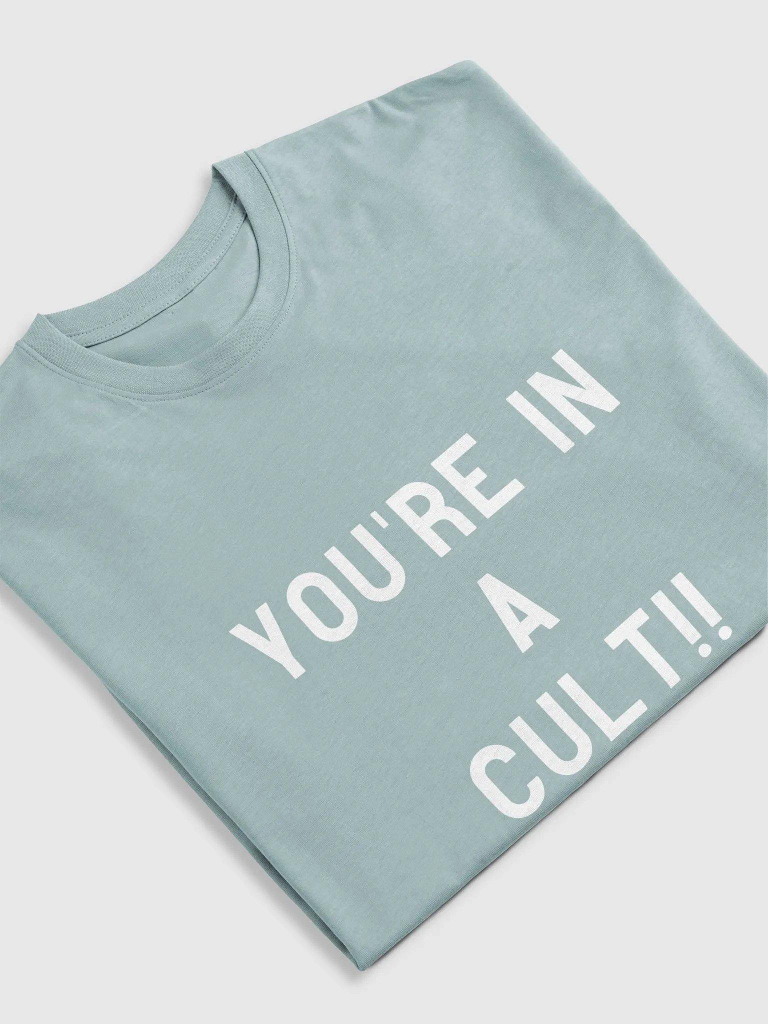 Pris- You're In A Cult -Cotton Heritage Men's Premium Heavyweight Tee product image (29)