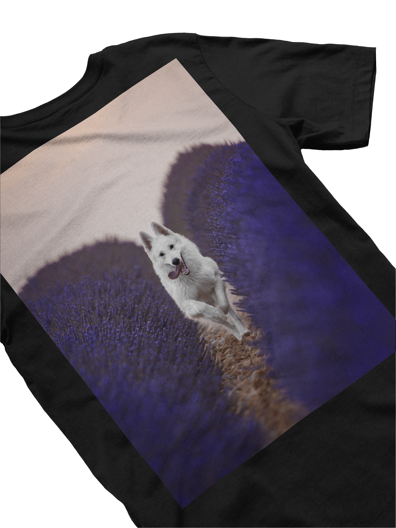 Rasta in the lavender fields product image (18)