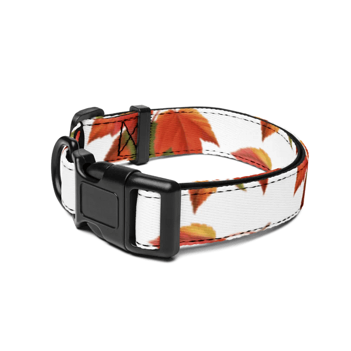 Fiesta Frenzy Pet Collar product image (2)