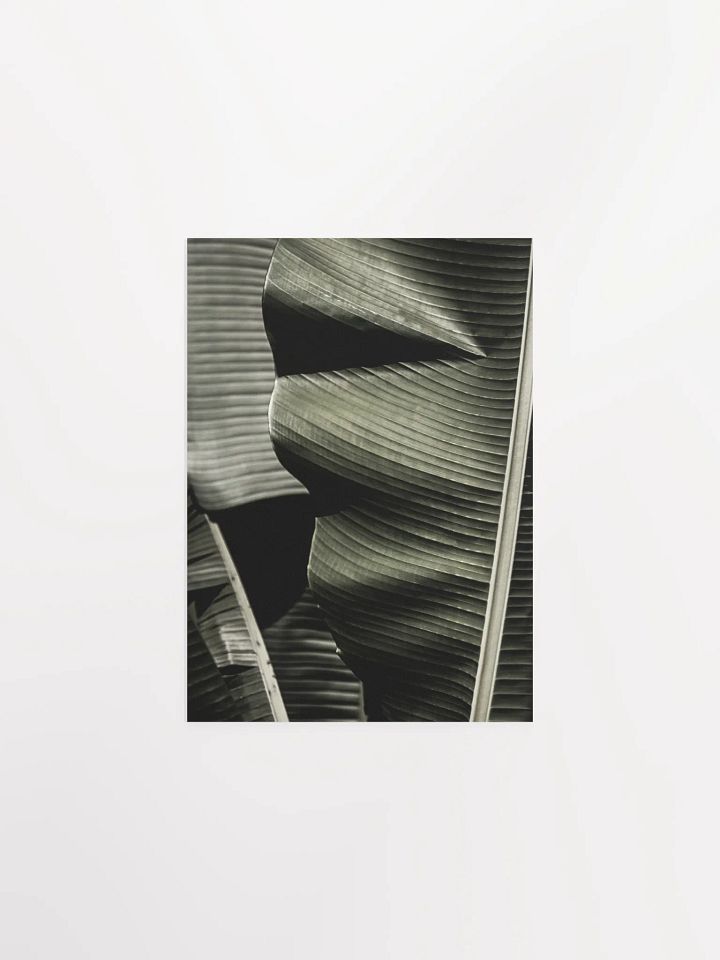 Banana Leaves Enhanced Matte Poster product image (2)