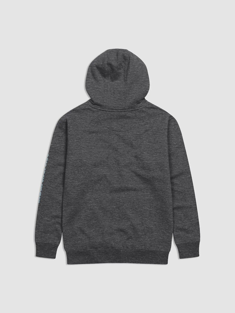 Rainstorm LizardArtist Hoodie product image (2)