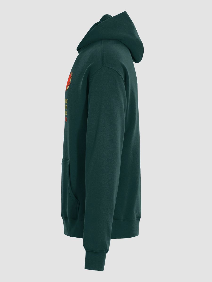 Problem-Solving Bookworm Hoodie product image (6)